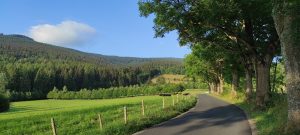 Přemyslovské sedlo